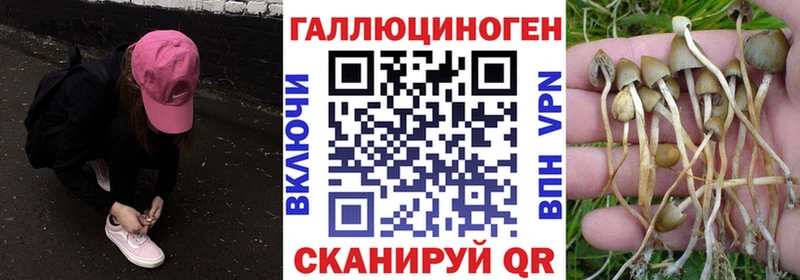 Псилоцибиновые грибы прущие грибы  Абакан 