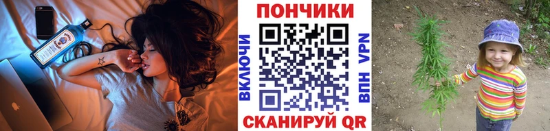 Шишки марихуана сатива  как найти   Абакан 